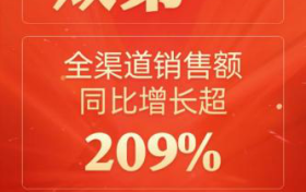 2019年11月，电小二户外电源获双11天猫和京东户外电源品类销量&销售额双冠军